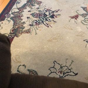 Meet your Posher, Dylan